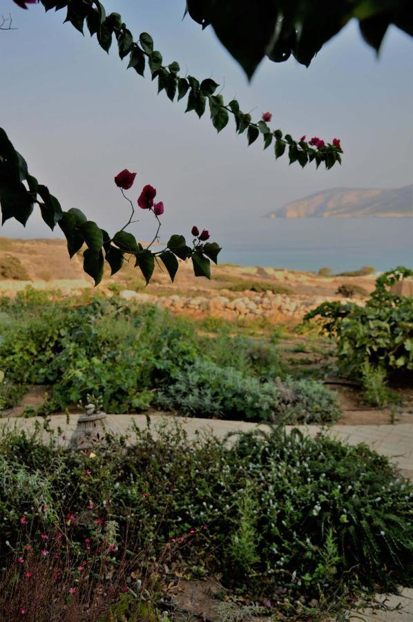 Pambelos Lodge Koufonisia المظهر الخارجي الصورة